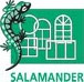 пластиковые окна salamander в Воронеже